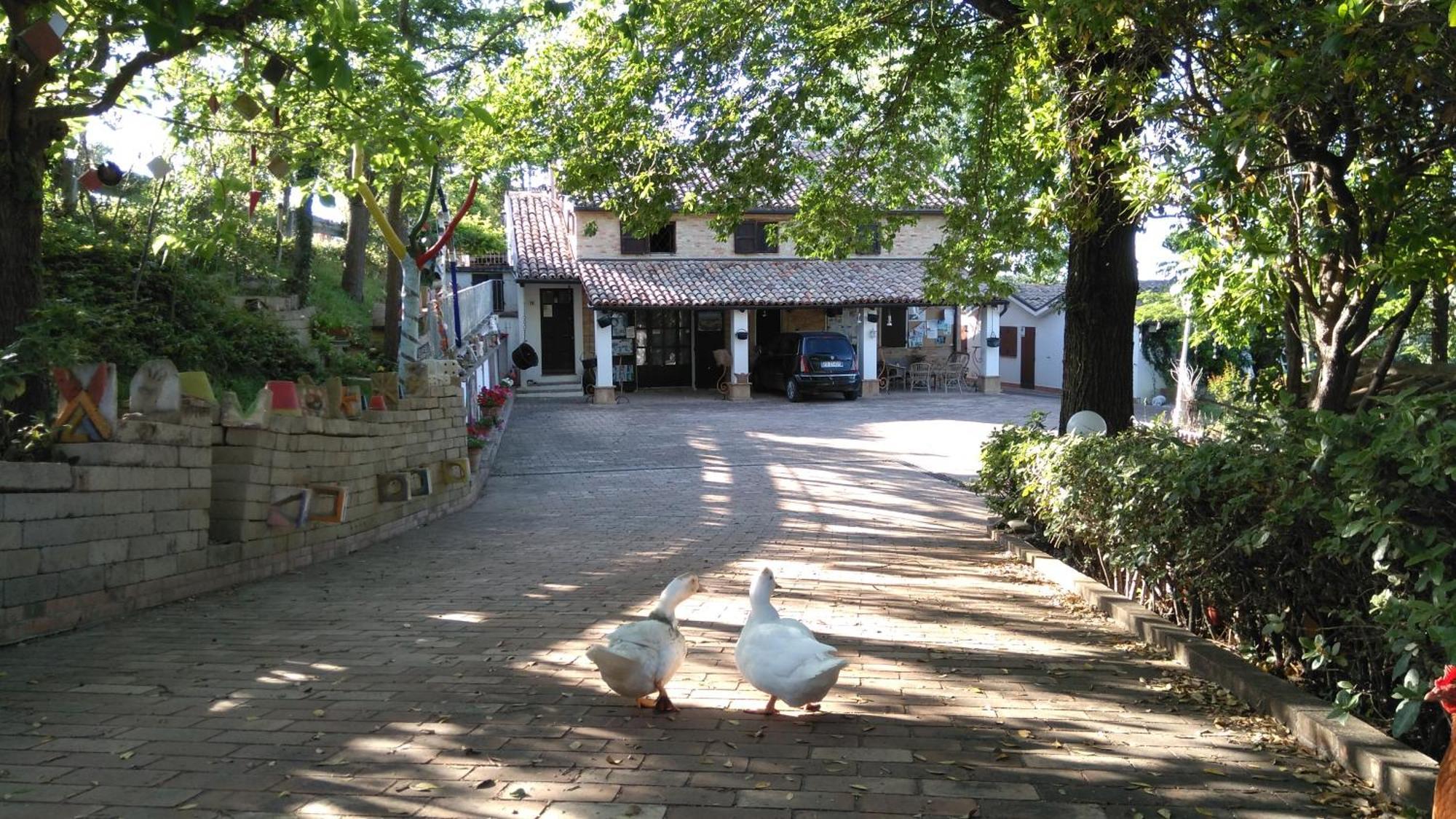 Camping Civettina